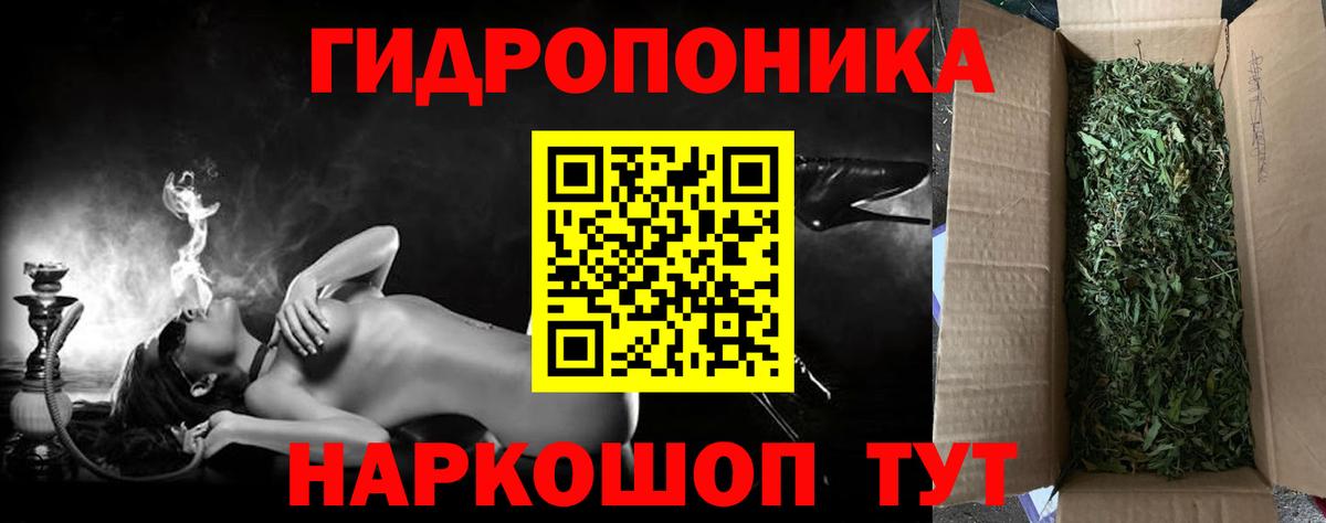 Конопля OG Kush Оренбург